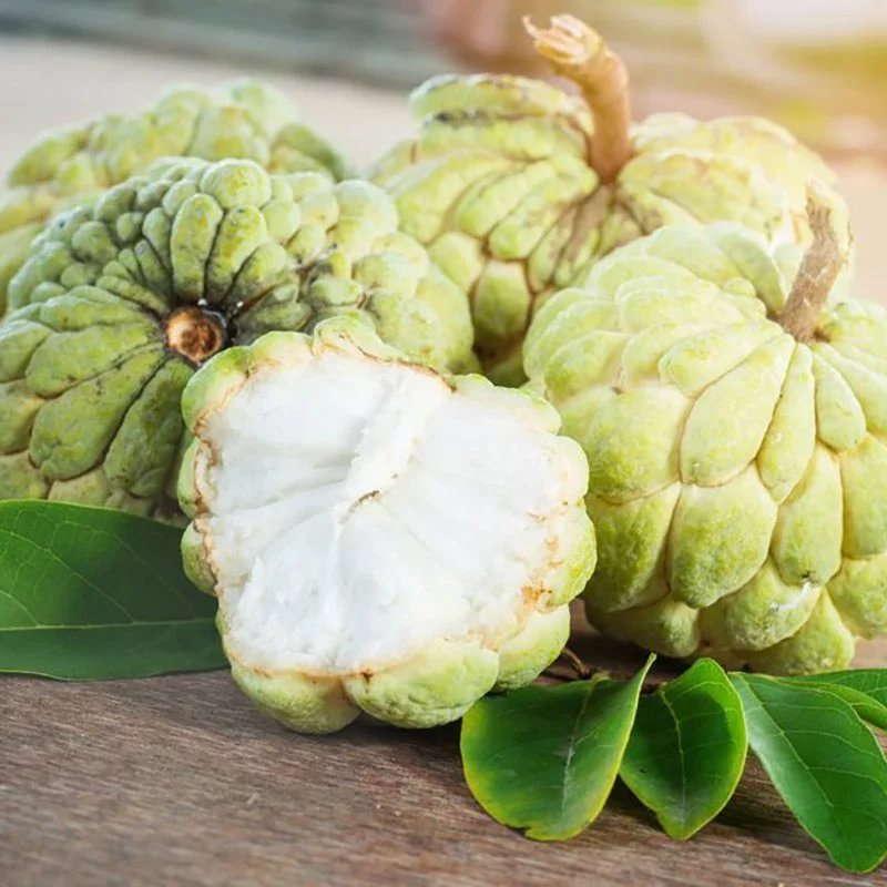 Custard Apple – White